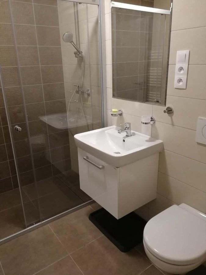 Apartman Praded V Rickach - Ricky V Orlickych Horach Екстериор снимка